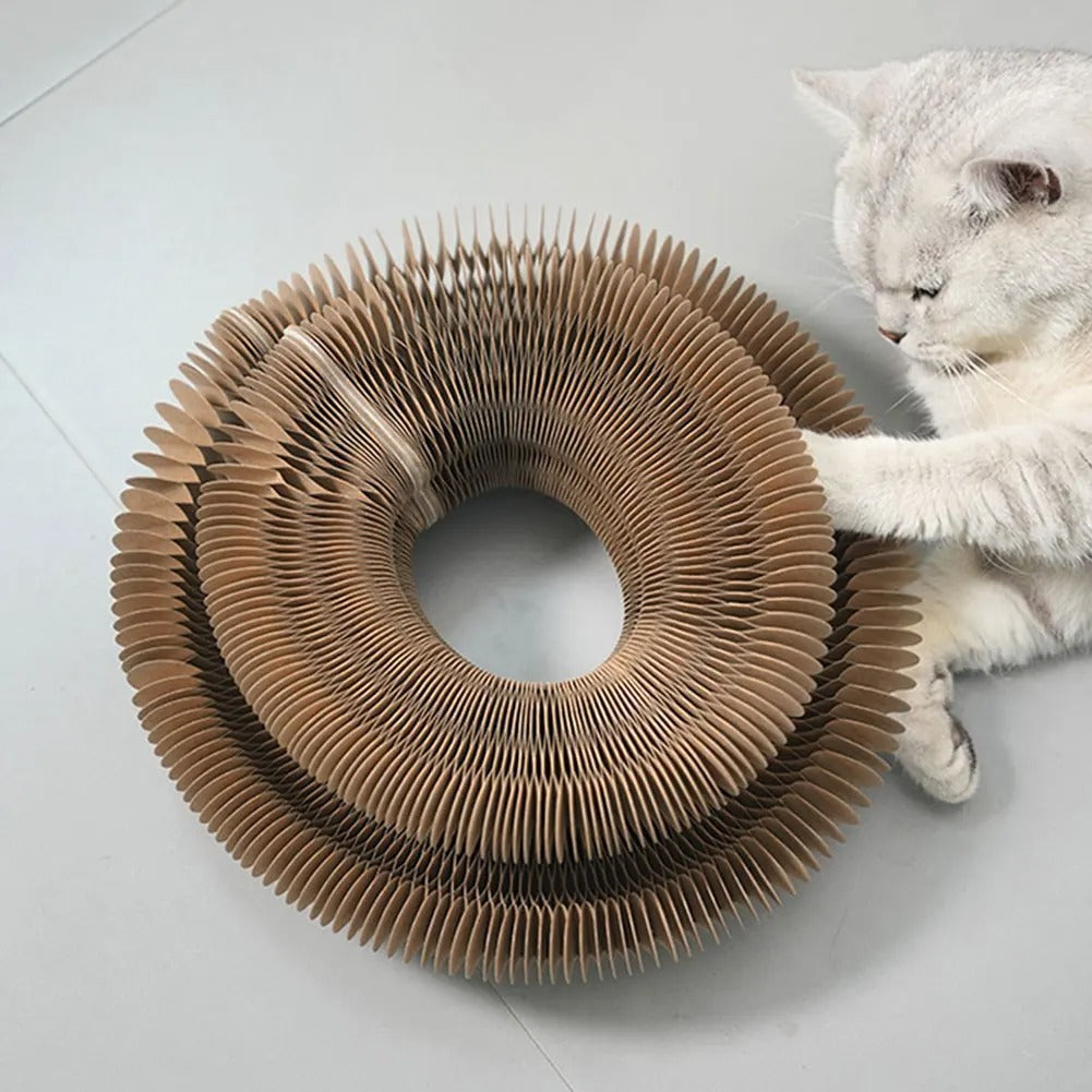 Cat scratch toy